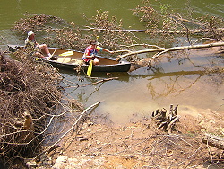 Tree tops block the take-out