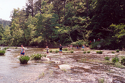 Bibb County Cahaba River  Preserve...lily trip