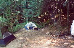 Camping in the Sipsey Wilderness