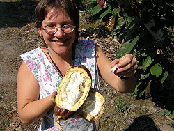 Therese White of CATIE with cacao fruit