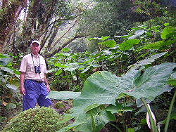 Wilson in arum valley