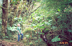 Doris Wilson birding