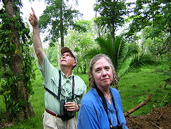 Wet season birding in Costa Rica