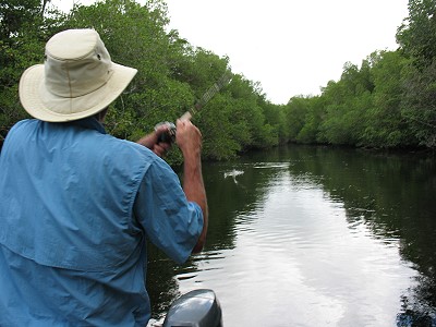 Wilson Tarpon fishing on Hatiguanico River