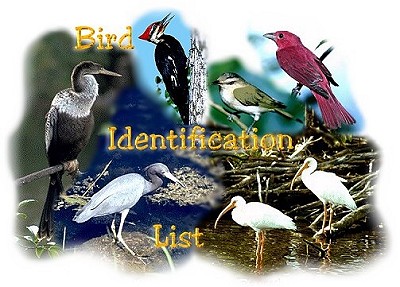 Birds seen on the Hatchery and Park areas