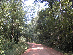 Perry Lakes Park road