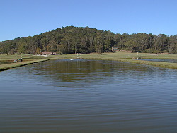 View of Hatchery office with wooded hill in background