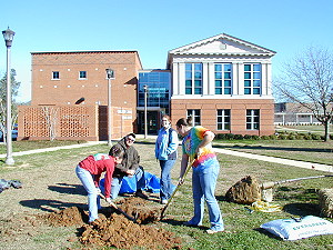 Planting a Black Gum...2006
