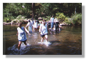 Wading Cathey Creek