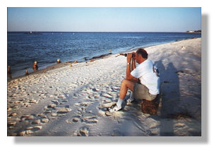 Birding on Dauphin Island