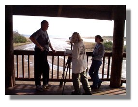 View from Battleship birding tower, Mobile Delta