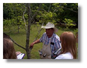 Mr. Amling selects the limb for the first graft