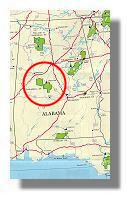 Oakmulgee Division of Talladega National Forest...habitat of the Mitchell's Satyr