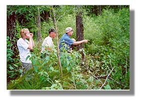 Glassberg points out a possible Mitchell's Satyr butterfly to Jim Mawk and Emily Severson