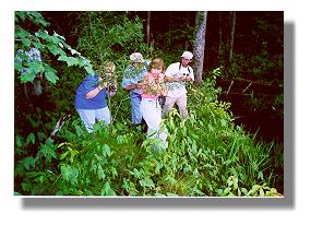 Paulette Haywood is close to a possible Mitchell's Satyr as Jeff Glassberg eases in for a closer inspection