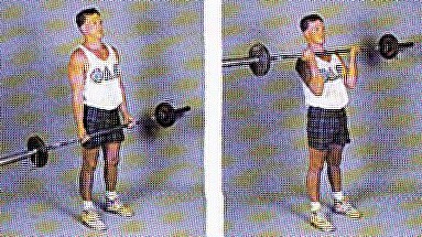 A man demonstrating the proper way to perform biceps curls.
