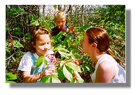 Lauren, Hudson and Caroline Wilson admire a red buckeye at the golden club swamp