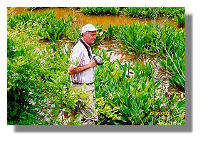 Thomas Wilson in the golden club habitat