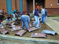 Hardwood mulch is added to garden