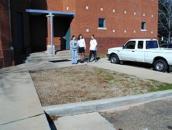 Future butterfly garden