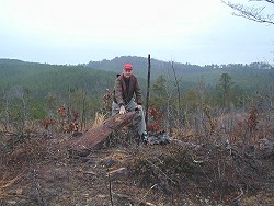 Dr. Wilson locates landscape boulders for garden