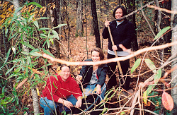 A Florida maple tree was dug from nature for planting on campus.