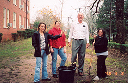 Planting the Flordia maple