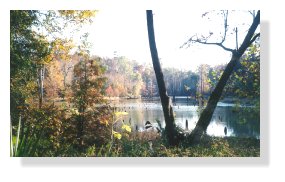 Mouth of Clear Creek near Old Cahawba, Selma, Al