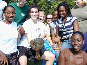 Dr. Burnes's biology lab with their mass of moss animals